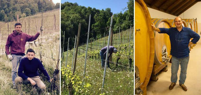 Bric Cenciurio - die Winzer im Weingarten und neben ihren Holzfässern