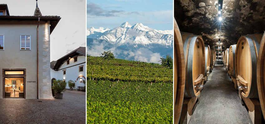 Südtiroler Weinberge und Keller mit Holzfässern