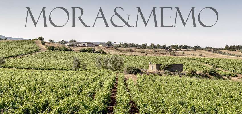 Blick über die sardischen Weinberge des Weinguts Mora & Memo